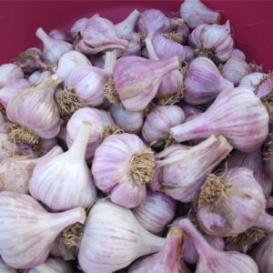 Home garlic (per 2 kg)