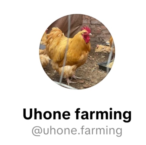 screenshot 20260114 181753