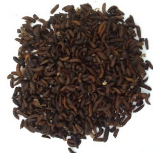 img 20260315 170916 346~2