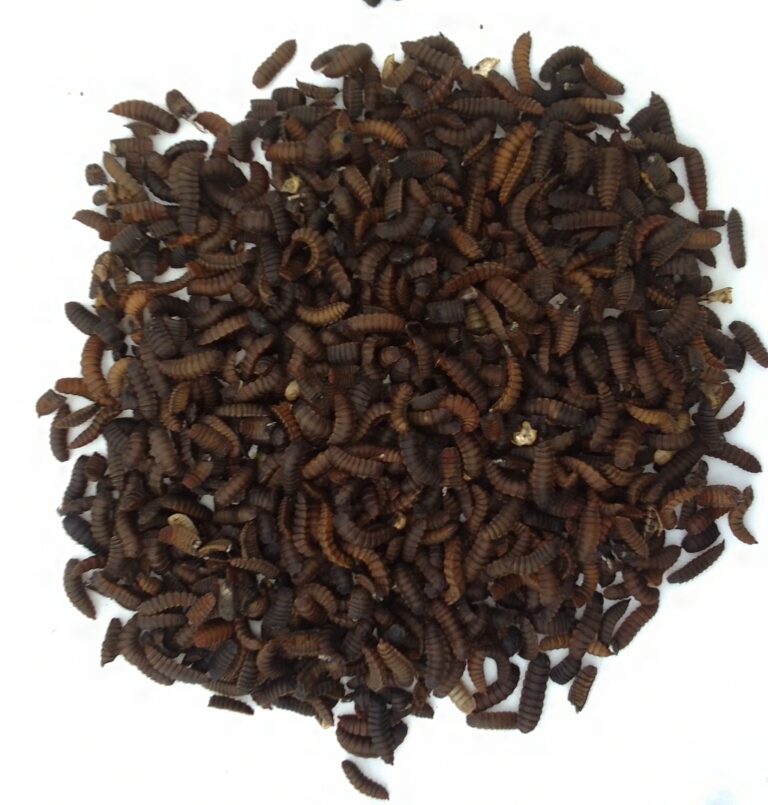 Home img 20260315 170916 346~2