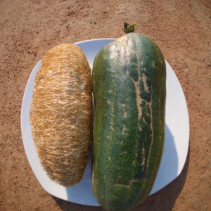 loofah seeds
